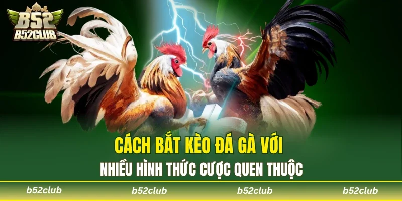 Người chơi lựa chọn đa dạng kèo cược khi tham gia đá gà