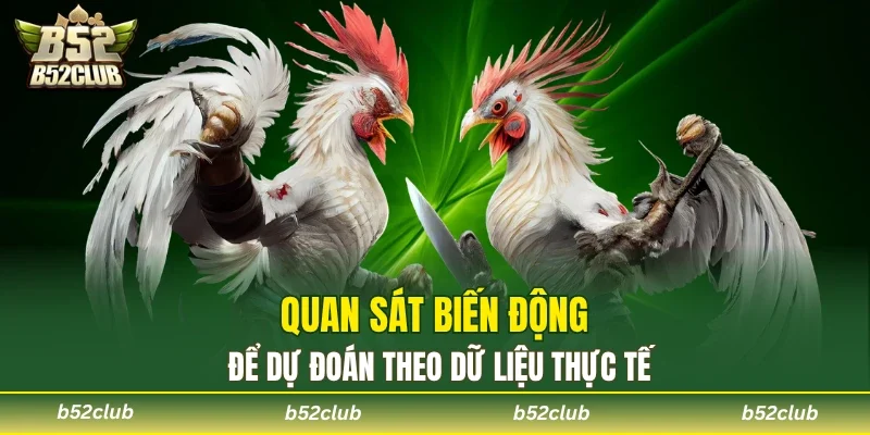 Tỷ lệ kèo giúp người chơi ra quyết định đúng thời điểm